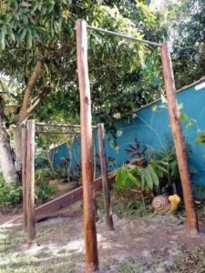 FB_IMG_1751325687517