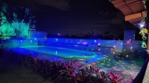 FB_IMG_1762980386274