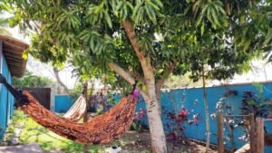 FB_IMG_1762980389024